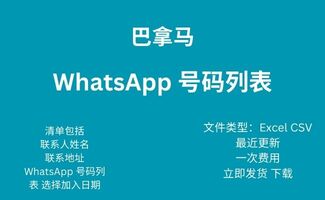 巴拿马 Whatsapp 号码列表
