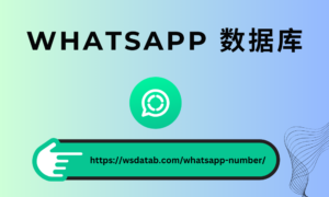 WhatsApp 号码
